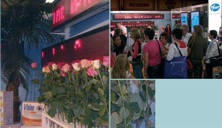 Pagelli. Werbeagentur Projekte